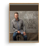 Blake Shelton Silk Fabric Poster And Print Wall Art Picture Painting Home Decor